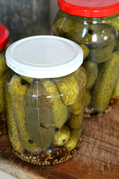 Homemade pickled cucumbers recipe