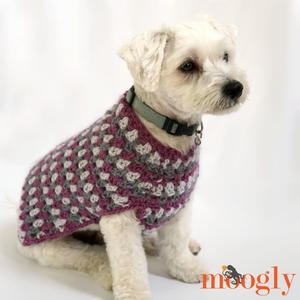Well Dressed Dog Crochet Coat