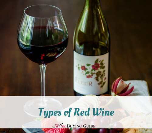 Types of Red Wine TheWineBuyingGuide