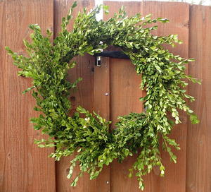 Easy Boxwood Christmas Wreath