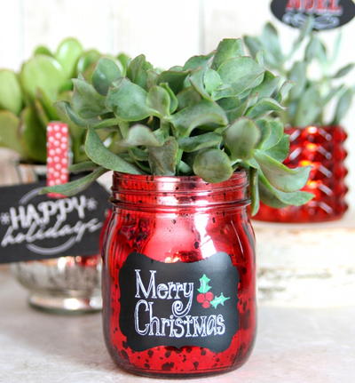Easy Holiday Succulents Gift