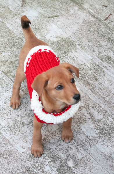 Christmas Dog Sweater