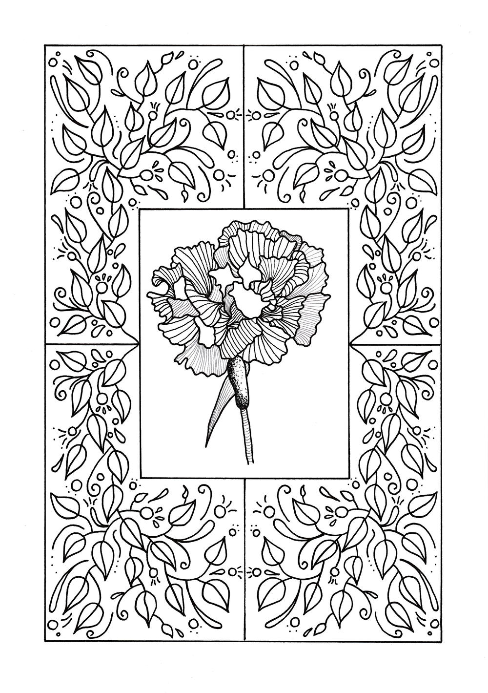Carnation Mandala Adult Coloring Page   FaveCrafts.com