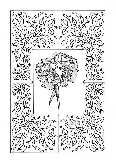 Carnation Mandala Adult Coloring Page