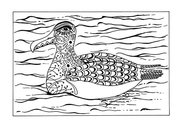 Arctic Albatross Adult Coloring Page