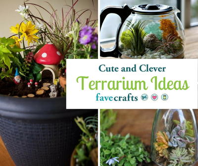 15 Terrarium Ideas: Inspiration for Planting Succulents