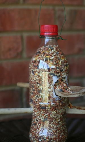 Plastic Bottle Bird Feeder