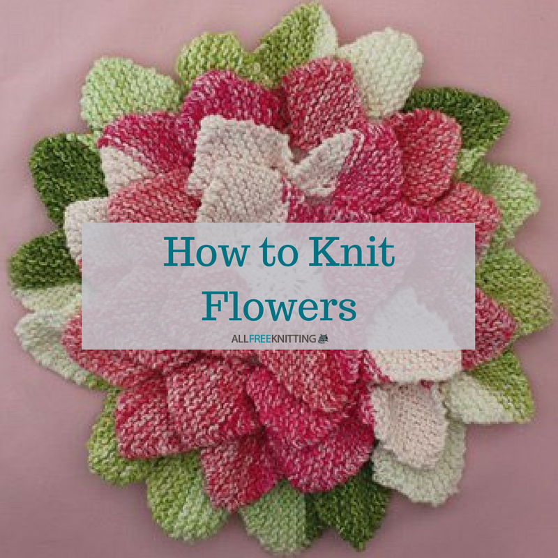 How to Knit Flowers 39 Easy Knitting Patterns