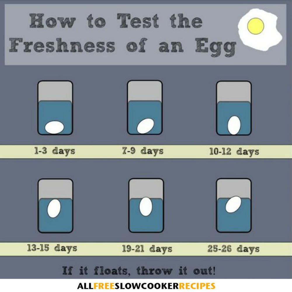 How to Tell if an Egg Is Bad with the Float Test