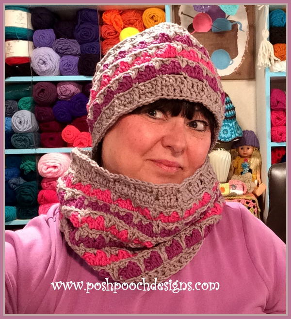 Lisa Ann Cowl and Ear Warmer Set