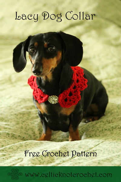 Lacy Dog Collar