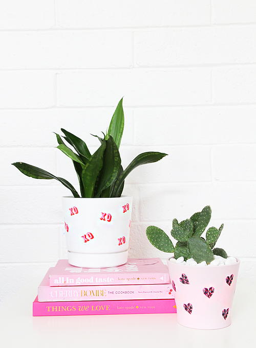 DIY Tattoo Valentine Planters