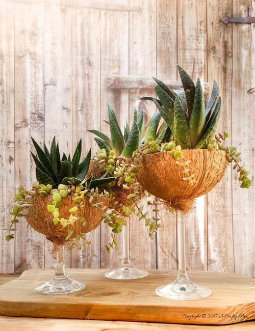 Awesome Coconut Wine Glass Planters