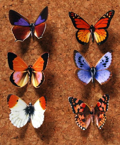 Butterfly Push Pin Paper Craft