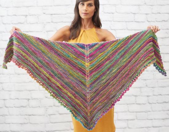 Colorful And Chic Knit Shawlette 