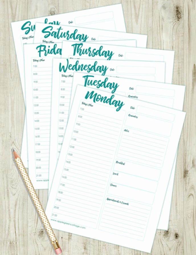 Free Daily Planner Printable To Keep You Organized | FaveCrafts.com