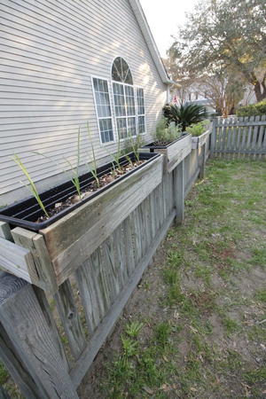 Hanging Fence Planters