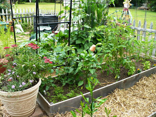 Raised Garden Bed Tutorial