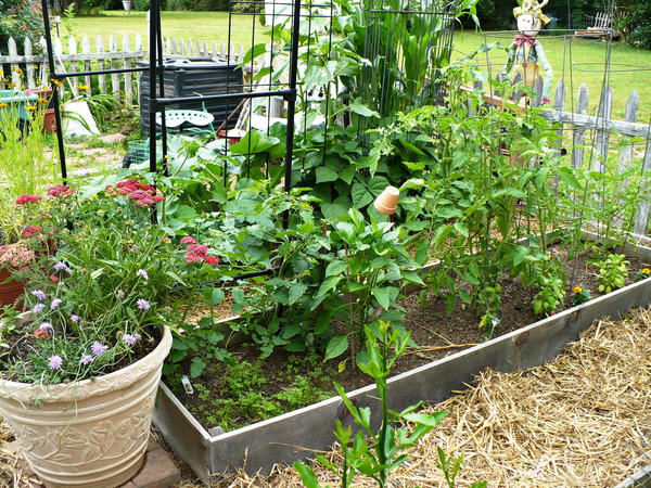 Raised Garden Bed Tutorial | DIYIdeaCenter.com