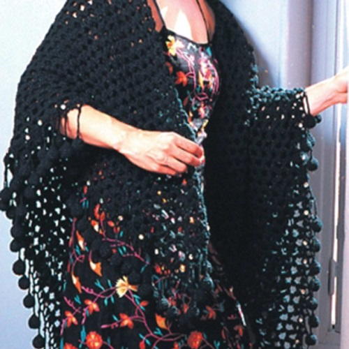 A Black Mesh Shawl