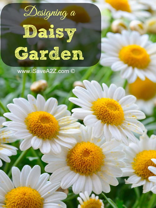 Daisy Garden Design Tutorial