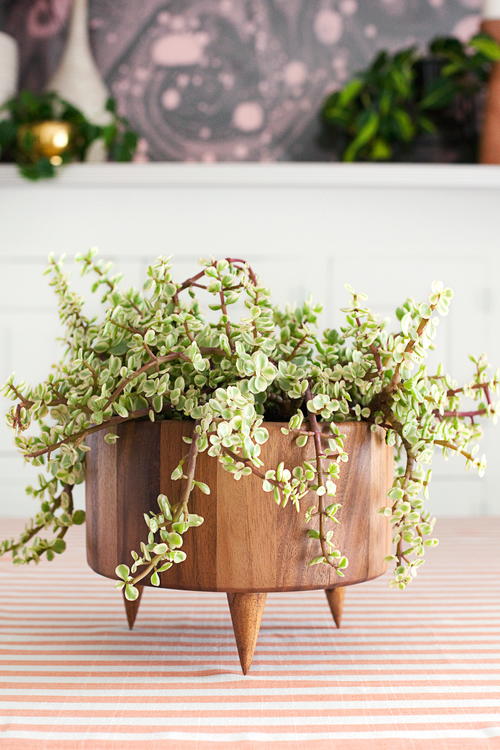 Upcycled Wooden Planter