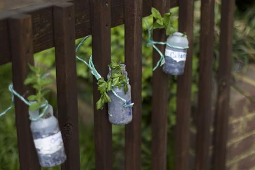 DIY Mini Fence Herb Planters