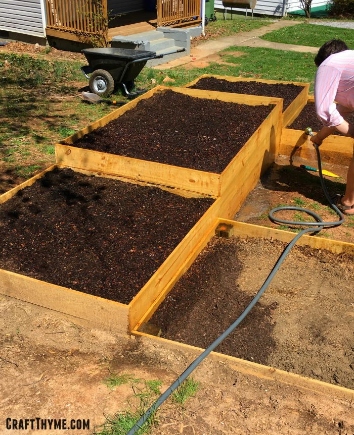 How to Prepare WeedFree Raised Garden Beds