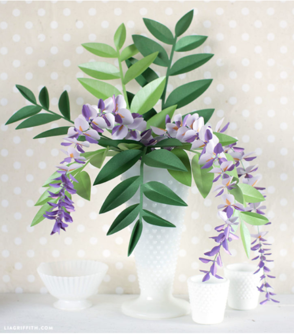 Paper Wisteria Plant