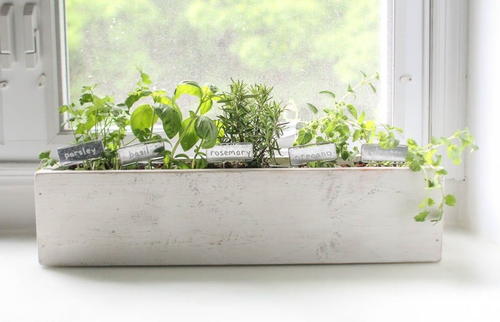 DIY Rustic Kitchen Herb Garden