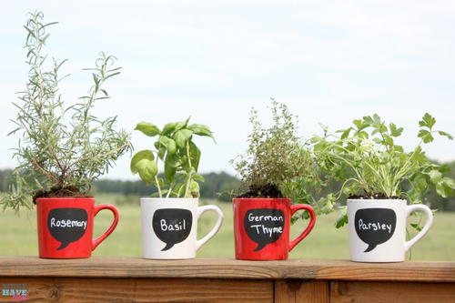 DIY Coffee Mug Herb Garden