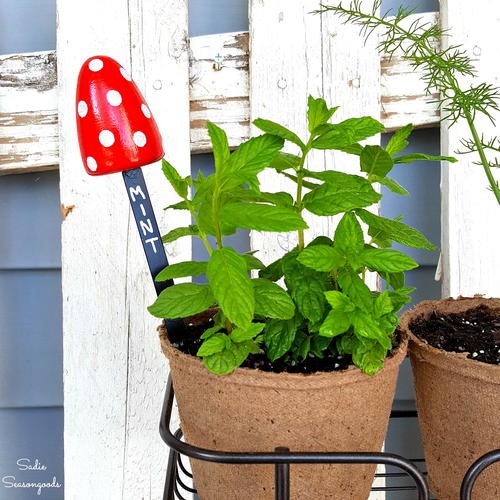 Whimsical Herb Garden Markers