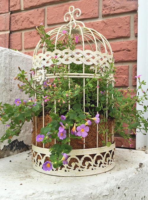Upcycled Birdcage Flower Planter