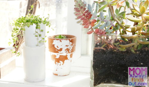 DIY Upcycled Self-Watering Planters