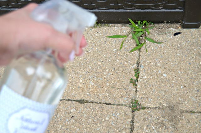 Budget-Friendly Homemade Weed Killer | DIYIdeaCenter.com