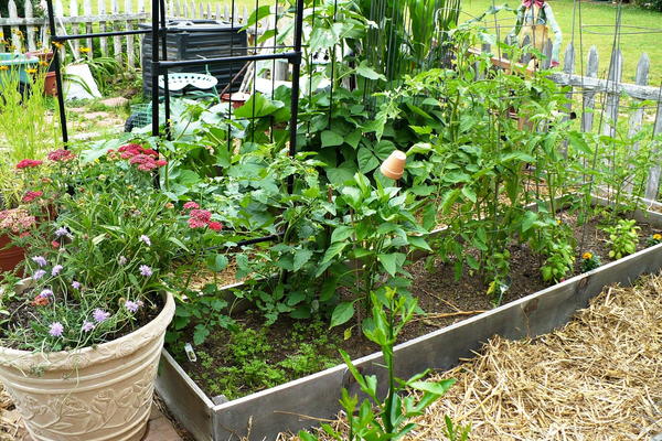 Raised Garden Bed Tutorial