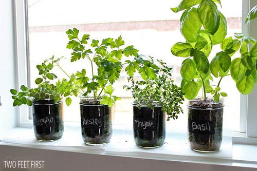 DIY Indoor Herb Garden