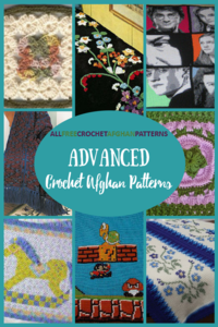 19 Advanced Crochet Afghan Patterns