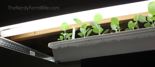 DIY Budget-Friendly Grow Lights
