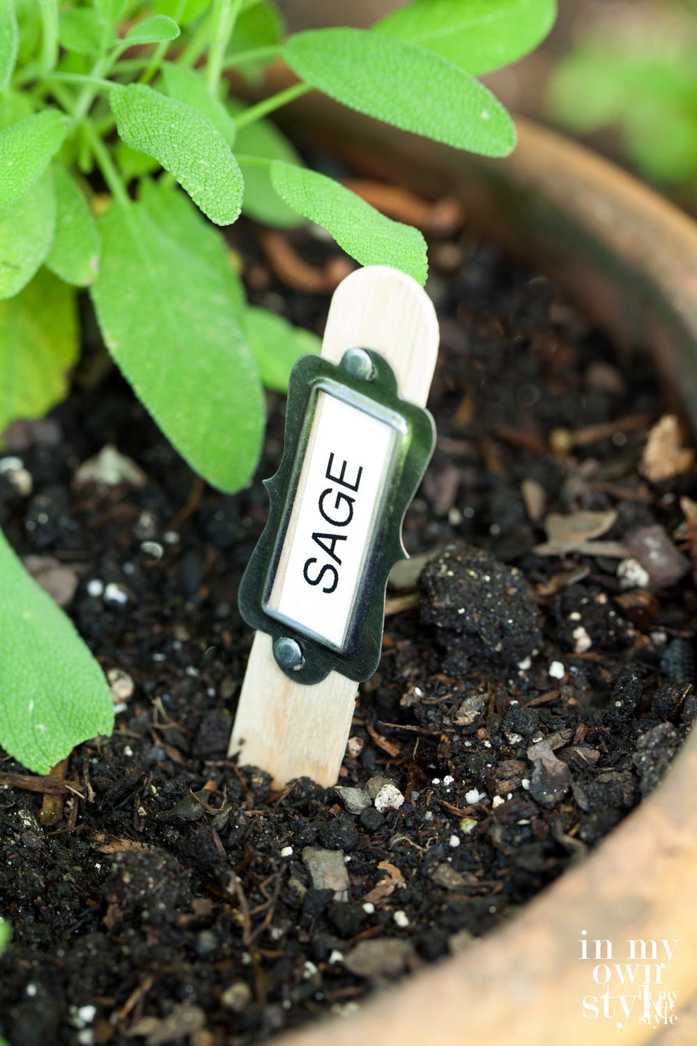 Quick and Easy Garden Markers