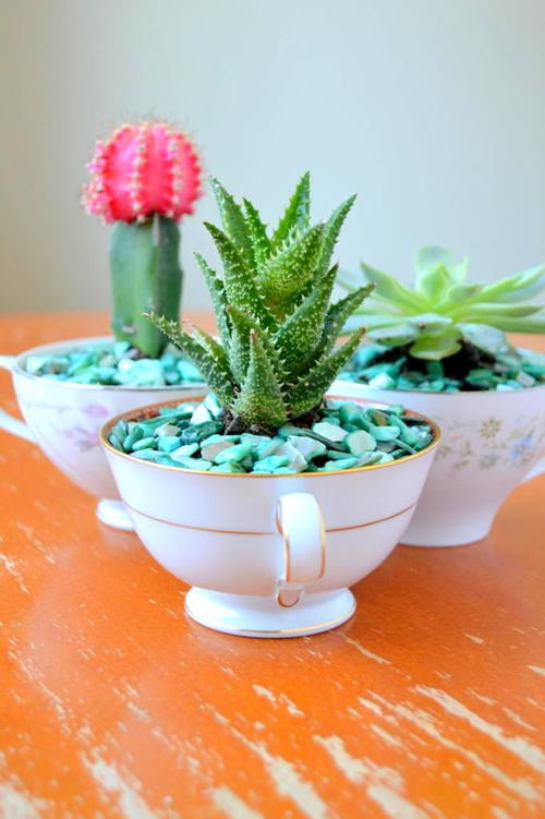 Whimsical Teacup Succulent Planters