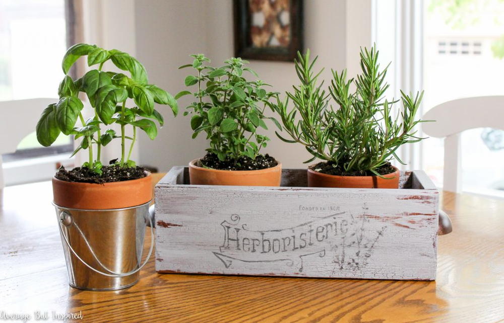 Stylish Indoor Herb Garden Box | DIYIdeaCenter.com
