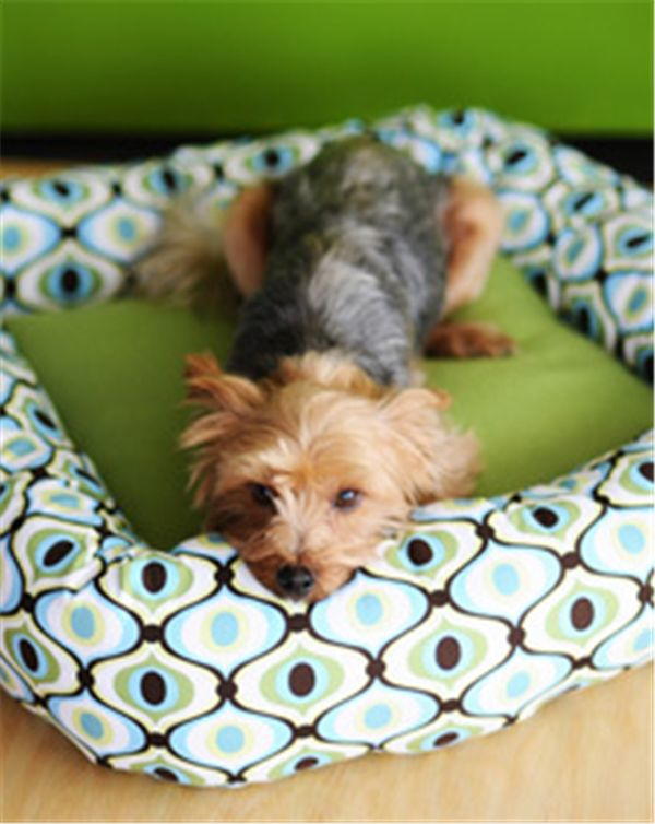 2-Hour DIY Dog Bed