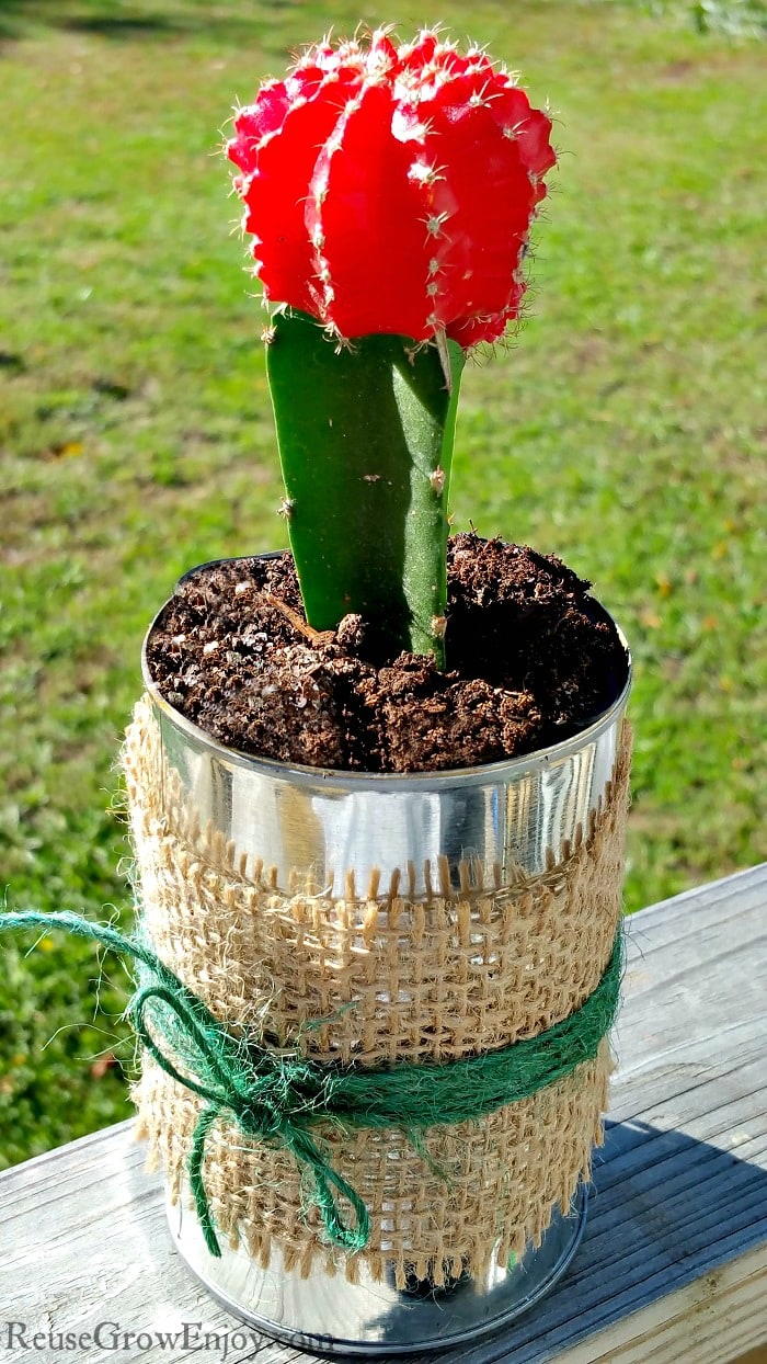 DIY Rustic Tin Can Planter