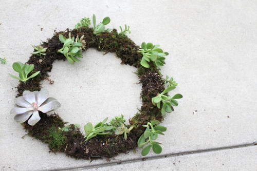 DIY Succulent Wreath