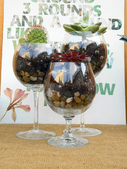 Chic Wine Glass Terrariums