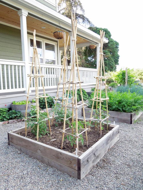 Bamboo Tomato Cage Tutorial