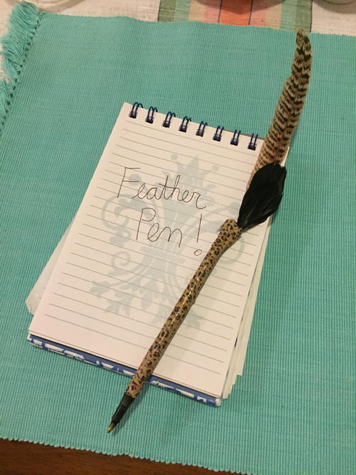 Awesome DIY Feather Ballpoint Pen