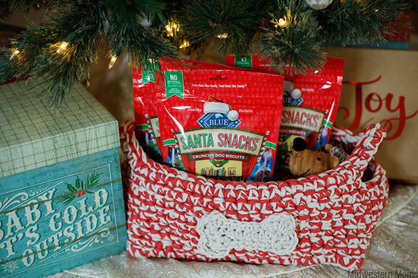 Crochet Dog Treat Basket