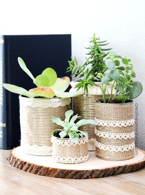 Rustic Upcycled Succulent Planters
